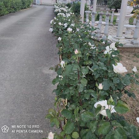 La Casa Delle Rose 2 Villa Giba ภายนอก รูปภาพ