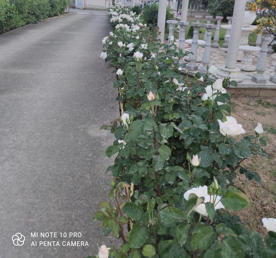 La Casa Delle Rose 2 Villa Giba ภายนอก รูปภาพ